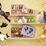 【速報】メリーチョコレート2026年バレンタイン「ねこみゃみれ」登場！可愛すぎておじさんなのにポーチを欲しがる事態に